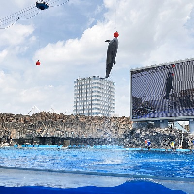 名古屋港水族館